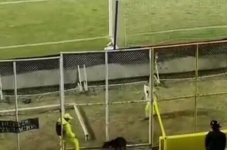 VIDEO: ¿Se sigue preguntando cómo se coló el perrito en la cancha del Cuscatlán en el partido de anoche? Acá le contamos