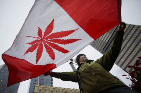 Canadá otorga permisos a una empresa para distribuir legalmente varios tipos de droga