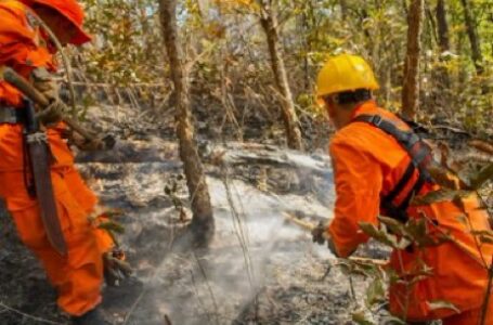 Bomberos corta avance de focos de incendio en Dulce Nombre de María