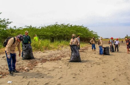 Realizan jornada de limpieza en playa El Esterón, de Intipucá