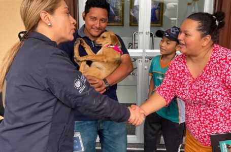 Cachorras rescatadas en San Martin reciben una segunda oportunidad