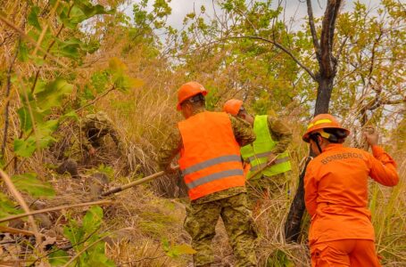 Instituciones de Protección Civil atienden emergencia por incendios en Ilobasco, Cabañas