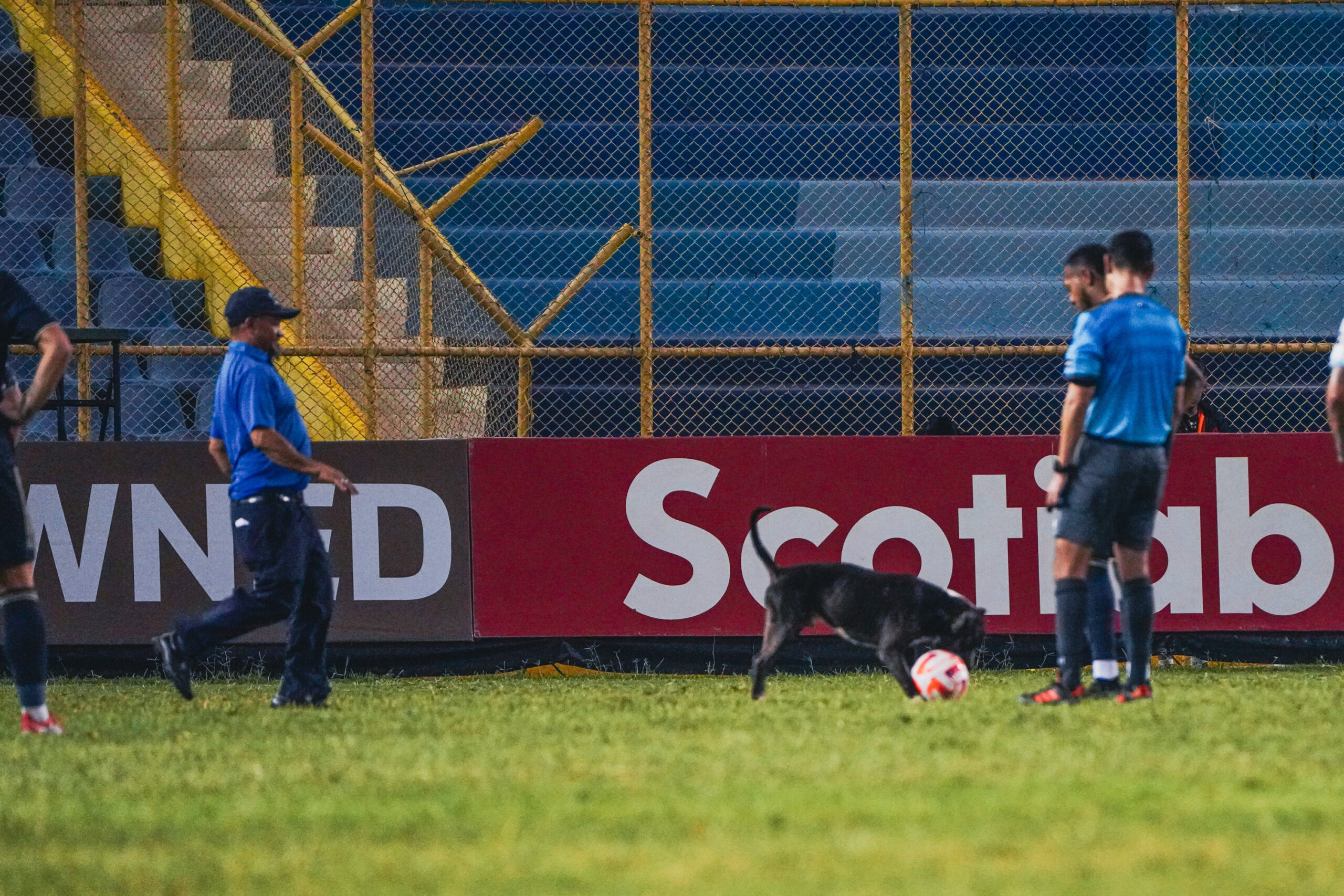 Perro interrumpe el partido de octavos de la Concachampions en el Cuscatlán