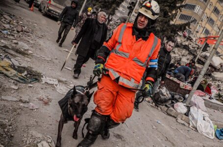 USAR El Salvador prevé entrenar más caninos en búsqueda y rescate de persona bajo escombros