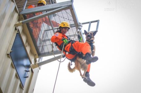 ¿Cómo se preparan bomberos de El Salvador para realizar rescates verticales? Aquí te lo contamos