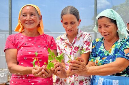 Familias de San Miguel podrán cosechar sus propias hortalizas