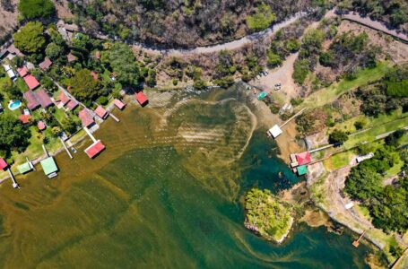 MARN estudia algas en lago de Coatepeque