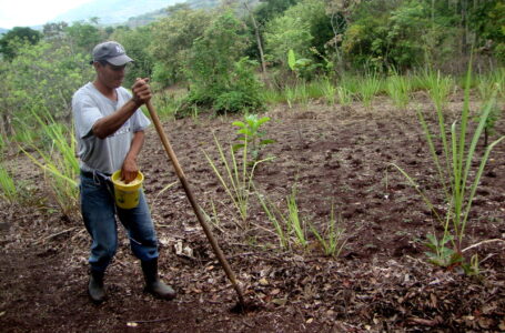 Protección Civil advierte posibles efectos de “El Niño” en corredor seco