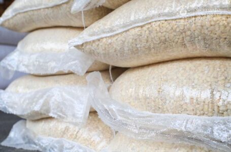 Defensoría confirma abastecimiento de maíz e investiga alza en precios