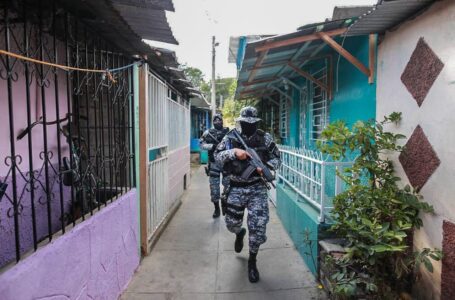 Salvadoreños destacan reducción de delincuencia en la administración de Nayib Bukele