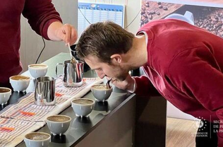 Australia conoce las bondades del café salvadoreño