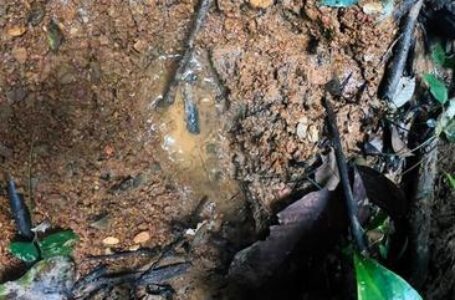 A penas un biberón y unas huellas de niños han encontrado los militares en Colombia