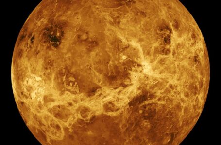 Planeta Venus estará muy brillante este domingo