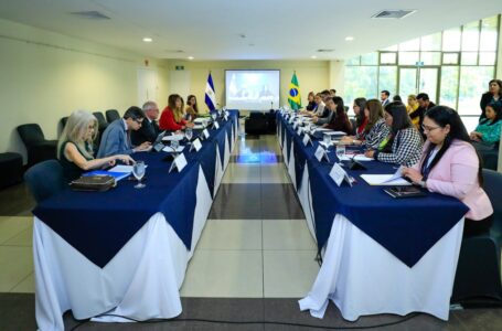 El Salvador y Brasil revisan su agenda bilateral para fortalecer relación