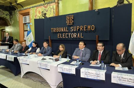 TSE Guatemala suspende Movimiento Semilla
