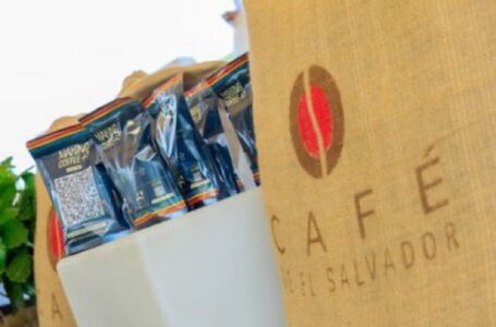Empresa estadounidense compra a El Salvador $4 millones en café