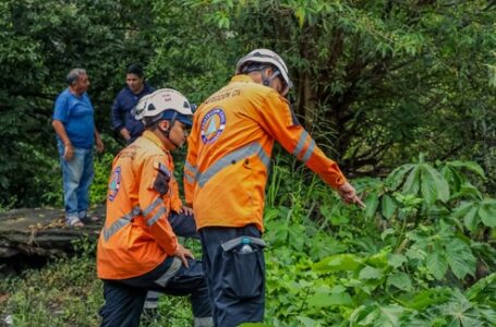 Protección Civil atendió deslizamientos y retiró árboles caídos en las primeras hora de emergencia por Pilar
