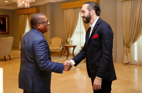 Presidente Bukele se reúne con alto diplomático estadounidense