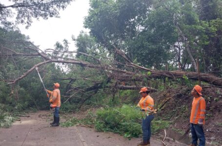 FOVIAL atendió 90 emergencias relacionadas con tormenta Pilar
