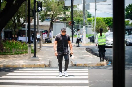 El 64% de los peatones espera en la acera para cruzar la calle, según estudio de Onasevi
