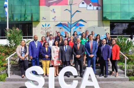 Vicepresidente Ulloa reitera en el SICA la importancia de garantizar bienestar de los centroamericanos