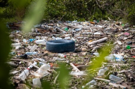 Medio Ambiente inicia la campaña de reciclaje de llantas