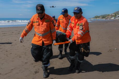 Protección Civil realiza simulacro de rescate acuático en La Libertad