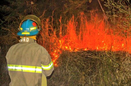 Bomberos registra 84 incendios forestales desde el 6 de diciembre a la fecha