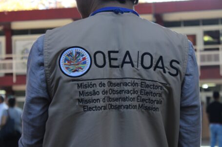 Observadores de la OEA destacan desarrollo de las elecciones 2024