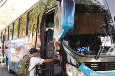 MOP brinda servicio gratuito de transporte público y asistencia vial