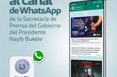 Gobierno habilita canal de WhatsApp para información de actividades diarias