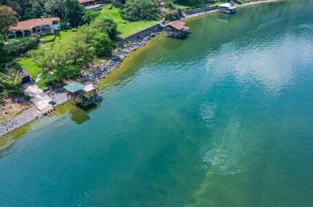Incrementa presencia de cianobacterias en Lago de Coatepeque