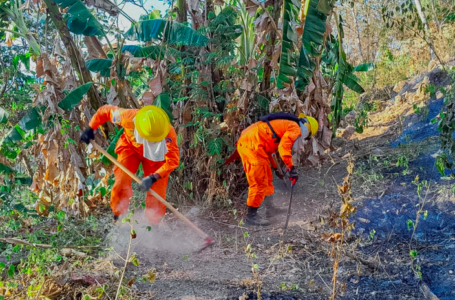 Bomberos en Acción: Liquidando incendio en maleza en San Pedro Perulapán