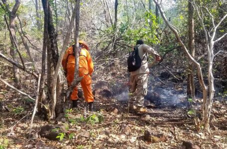 Controlan incendio en Área Natural Protegida Maquigüe, La Unión