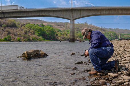 Investigan posible uso de insecticida para extraer camarón del río Lempa