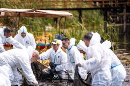 Gobierno intensifica labores de remoción de cianobacterias del Lago de Coatepeque