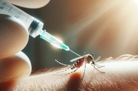 La OMS aprueba una segunda vacuna contra el dengue