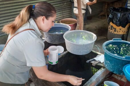 El Salvador intensifica esfuerzos para mantener la baja incidencia del dengue