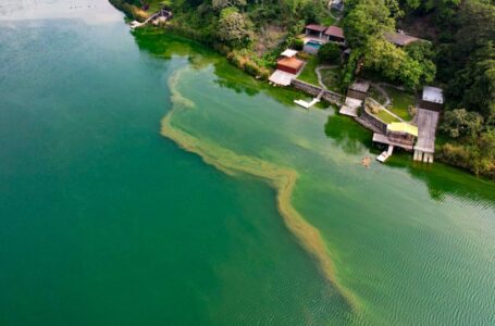 El MARN advierte de nueva proliferación de cianobacterias en zona del lago de Coatepeque