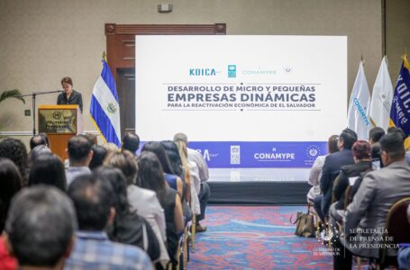 Gobierno beneficia a más de 26 micro y pequeñas empresas con $420 mil no reembolsables