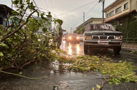 Lluvias y ráfagas de viento provocan caídas de árboles y accidente de tránsito a escala nacional