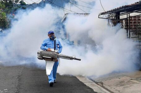 Lanzan jornada de fumigación para eliminar zancudo causante de dengue, zika y chikungunya