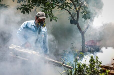 Más de 125,000 viviendas han sido fumigadas en lo que va de la semana