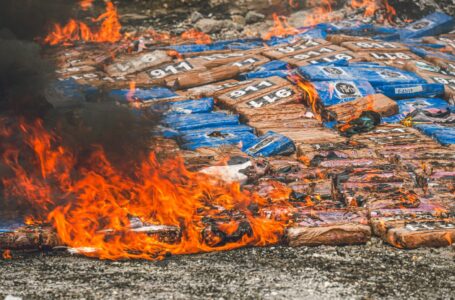 Destruyen 760 kilos de droga incautada en altamar