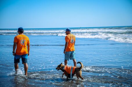 Protección Civil presente en 28 playas para auxiliar a bañistas