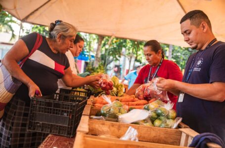 Agro mercados venderán frijoles y arroz a precios más accesibles: Bukele