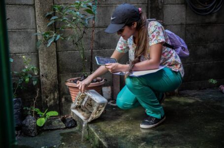 Salud insiste en el llamado a sumarse a las acciones preventivas contra el dengue