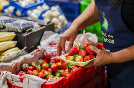 Estrategia de precios bajos y abastecimiento alimentario avanza con Agromercados y Central de Abastos