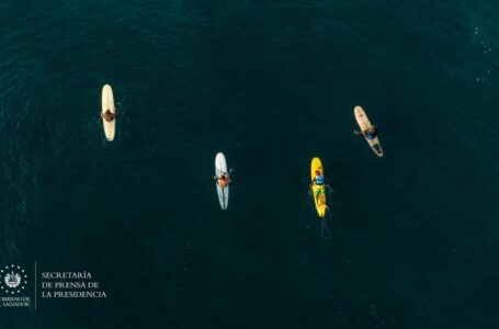 La población podrá disfrutar por primera vez de la final del tour mundial de longboard de la WSL