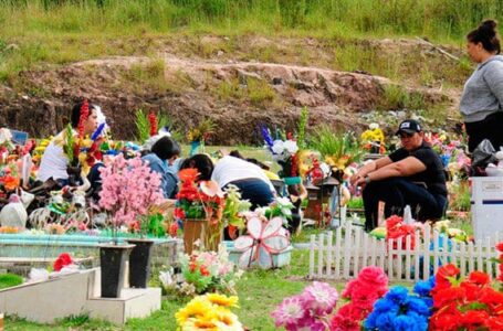 Si vas a enflorar, por favor no olvidés estos consejos